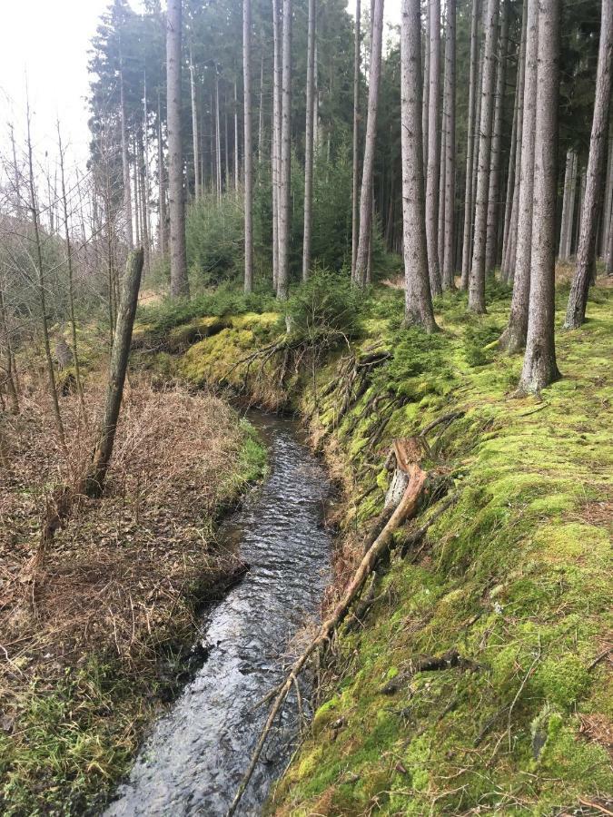 Nature Center Udoli Volavek Weseritz Eksteriør bilde